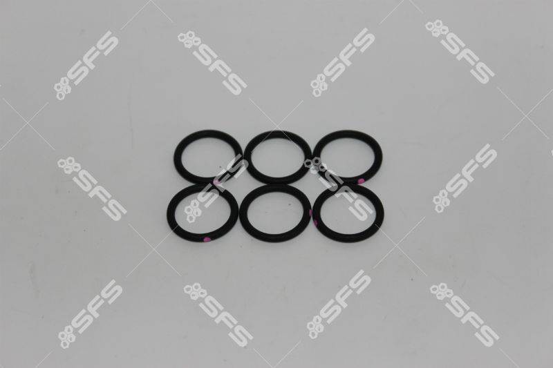 Graco Piston O-Ring Kit 6-Pack 248134 Graco Piston O-Ring Kit 6-Pack 248134